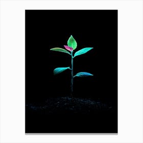 Neon Plant 11 Canvas Print