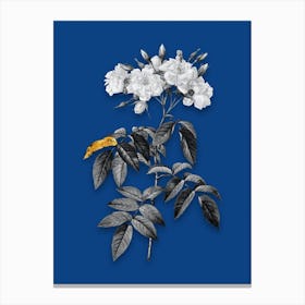 Vintage Musk Rose Black and White Gold Leaf Floral Art on Midnight Blue n.0478 Canvas Print