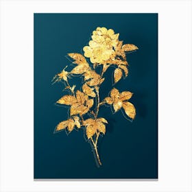 Vintage White Anjou Roses Botanical in Gold on Teal Blue n.0202 Canvas Print