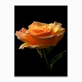 Orange Rose 15 Canvas Print