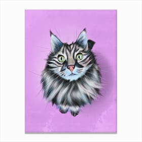 Shelter´s Gaze - Cat Portrait Canvas Print