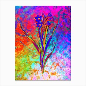 Sword Lily Botanical in Acid Neon Pink Green and Blue n.0093 Canvas Print