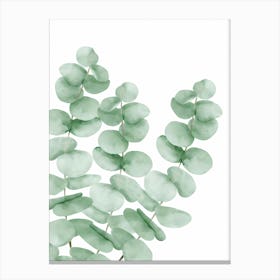 Watercolor Eucalyptus Leaves Canvas Print