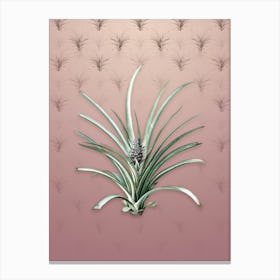 Vintage Pineapple Botanical on Dusty Pink Pattern n.0219 Canvas Print