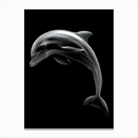 Dolphin On Black Background Canvas Print