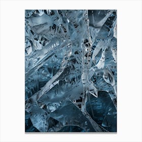 Ice Crystals Canvas Print