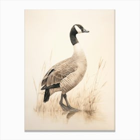 Vintage Bird Drawing Canada Goose 1 Canvas Print