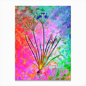 Allium Straitum Botanical in Acid Neon Pink Green and Blue n.0026 Canvas Print