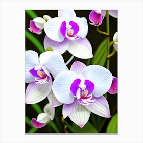 Orchids 7 Canvas Print