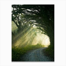 A Dreamlike Landscape Where A Single Tree A Lone Sentinel Amidst The Quiet Foliage Stands Tall Way 2 1 Canvas Print