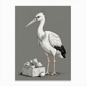 Stork With Gift Canvas Print