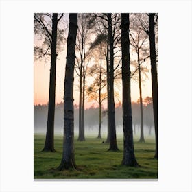 Sunrise In The Forest Canvas Print