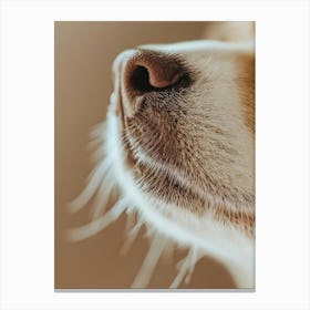 Close Up Of A Dog'S Nose.Generated AI. Art Print 2 Canvas Print