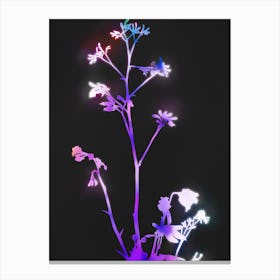 Florescence Purple Canvas Print