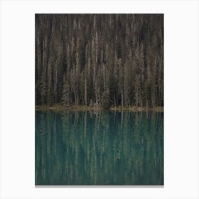 Forest Lake Reflection Canvas Print