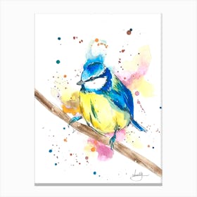 Blue Tit Bird Canvas Print