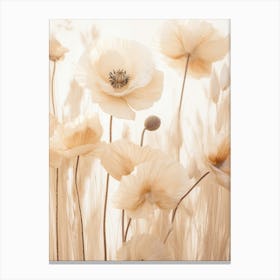 Boho Dried Flowers Poppy 2 Canvas Print