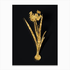 Vintage Daffodil Botanical in Gold on Black n.0559 Canvas Print