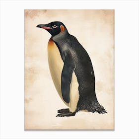 Adlie Penguin Isabela Island Vintage Botanical Painting 1 Canvas Print