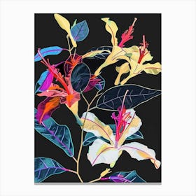 Neon Flowers On Black Bougainvillea 3 Canvas Print