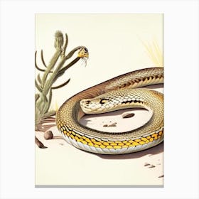 Sonoran Gopher Snake Vintage Canvas Print