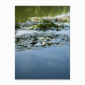 Water lilies and reflection in the water Canvas Print