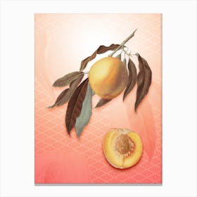 Peach Vintage Botanical in Peach Fuzz Hishi Diamond Pattern n.0159 Canvas Print