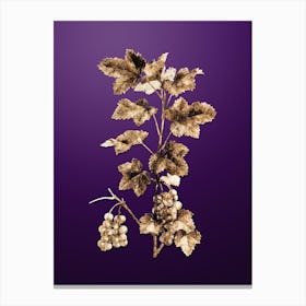 Gold Botanical Redcurrant Plant on Royal Purple n.0474 Canvas Print