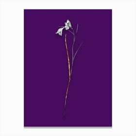 Vintage Blue Pipe Black and White Gold Leaf Floral Art on Deep Violet n.0121 Canvas Print
