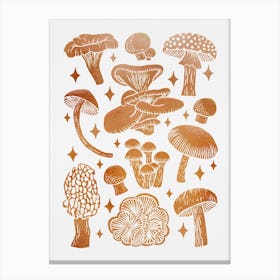 Texas Mushrooms   Copper Metallic Canvas Print