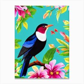 Cuckoo Tropical bird Canvas Print