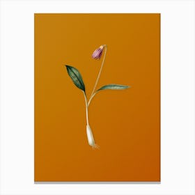 Vintage Erythronium Botanical on Sunset Orange Canvas Print