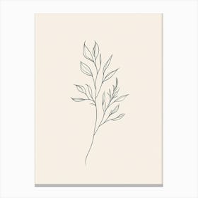 Simple Line Drawing Of A Leaf Canvas Print