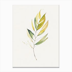 Curry Leaf Minimalist Watercolour 2 Canvas Print