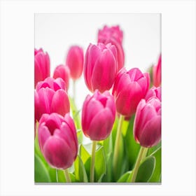 Floral tulips in neon pink - spring flower nature and travel photography by Christa Stroo Photography Canvas Print