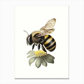Bumblebee 3 Vintage Canvas Print