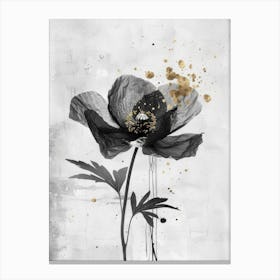 Black And Gold Canvas Print 22 Canvas Print