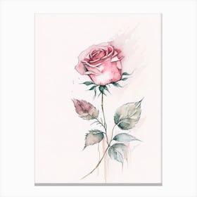 Rose Herb Minimalist Watercolour 1 Canvas Print