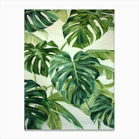 Monstera Leaves 6 Canvas Print