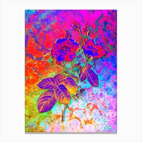 Anemone Centuries Rose Botanical in Acid Neon Pink Green and Blue Canvas Print