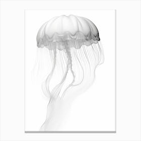 Box Jellyfish Watercolour Painting 5 Canvas Print