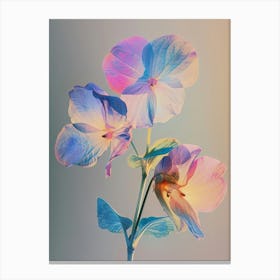 Iridescent Flower Impatiens 1 Canvas Print