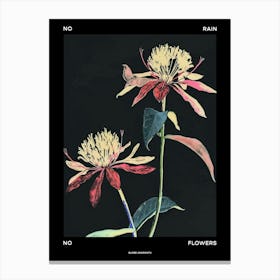 No Rain No Flowers Poster Globe Amaranth 3 Canvas Print