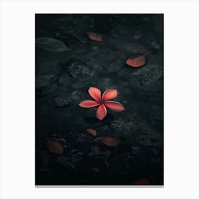 Flower Hd Wallpaper Canvas Print