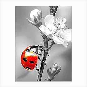 Ladybug On A Flower Canvas Print