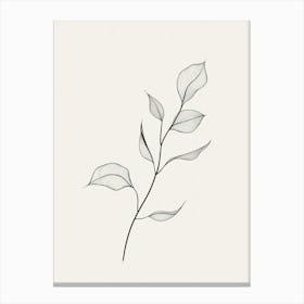 Leaf On A Branch Canvas Print