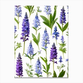 Nature Pattern Isolate White Arrangement Purple Flat Floral Blue Natural Herbal Medicine (12) Canvas Print