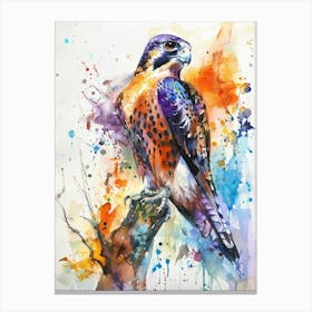Falcon Colourful Watercolour 2 Canvas Print