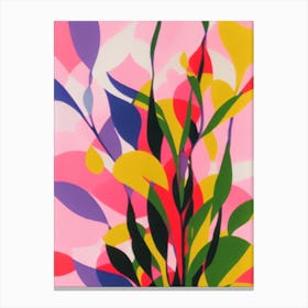 Hoya Colourful Illustration Plant Canvas Print