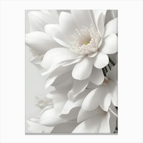 White Flowers Canvas Print Canvas Print